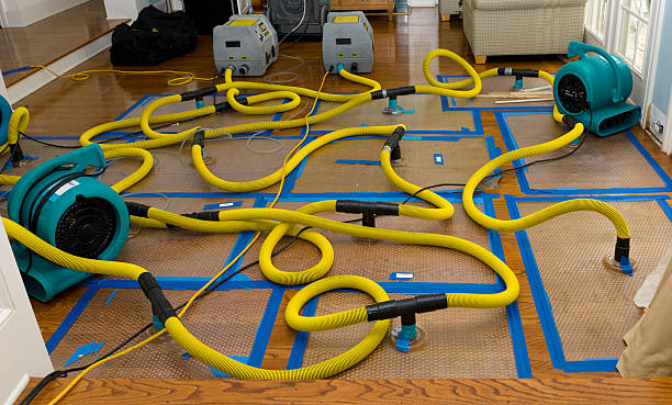 Professional Sewage Cleanup technician working in Riverdale, CA